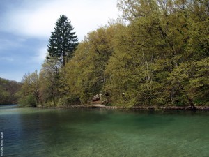 Kozjak H 20160407